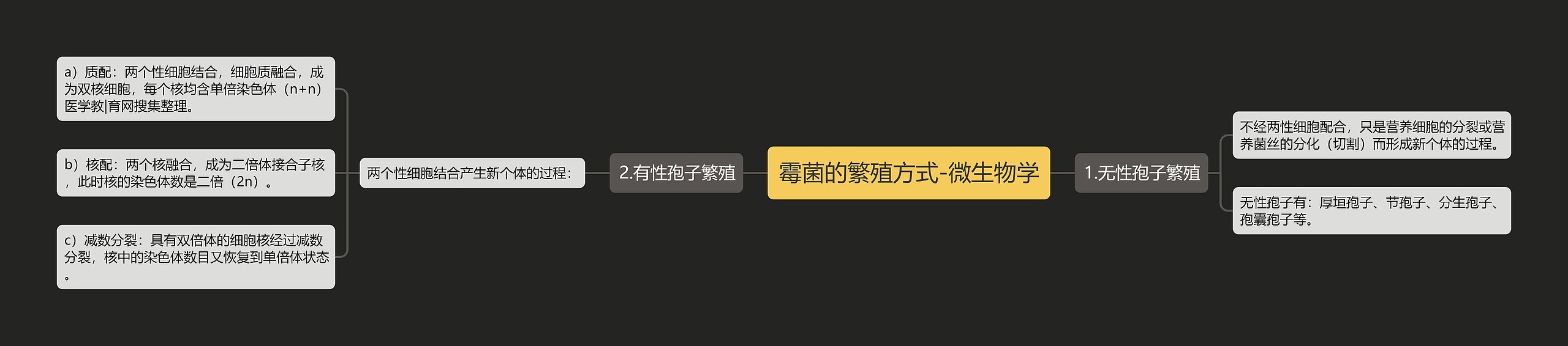霉菌的繁殖方式-微生物学 霉菌的繁殖方式-微生物学