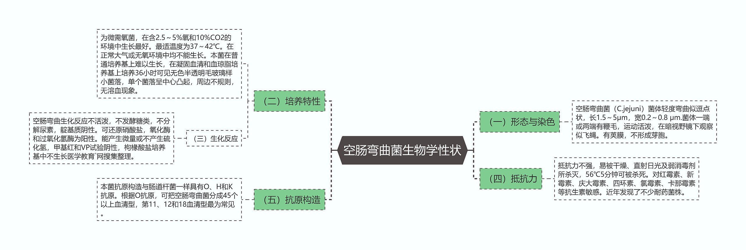 空肠弯曲菌生物学性状