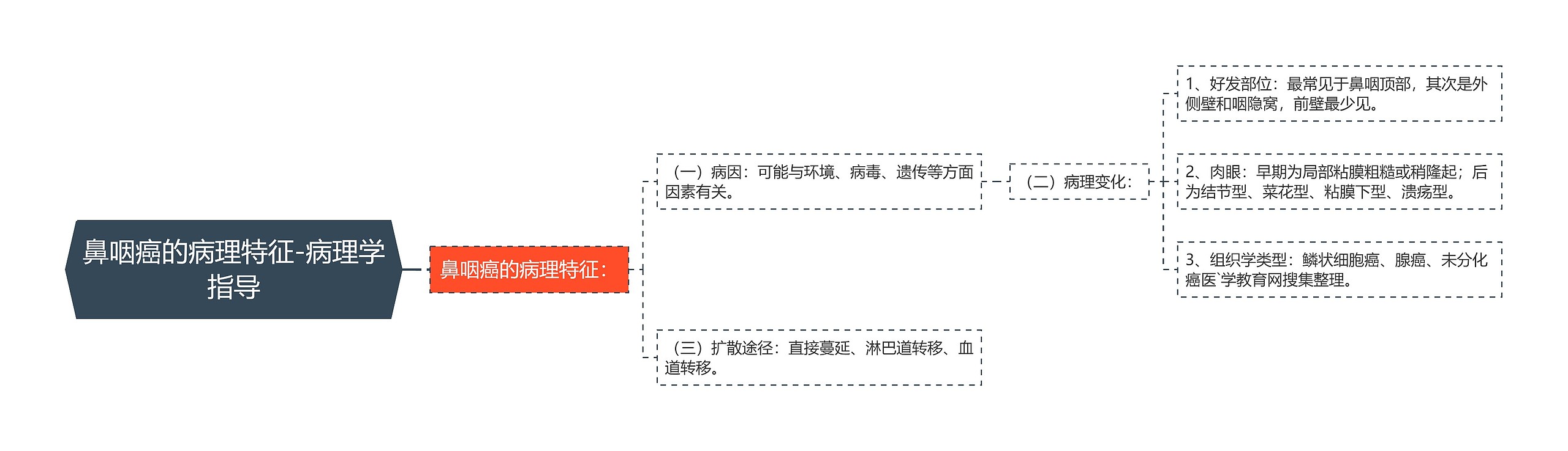 鼻咽癌的病理特征-病理学指导思维导图