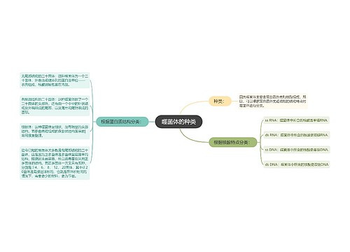 噬菌体的种类