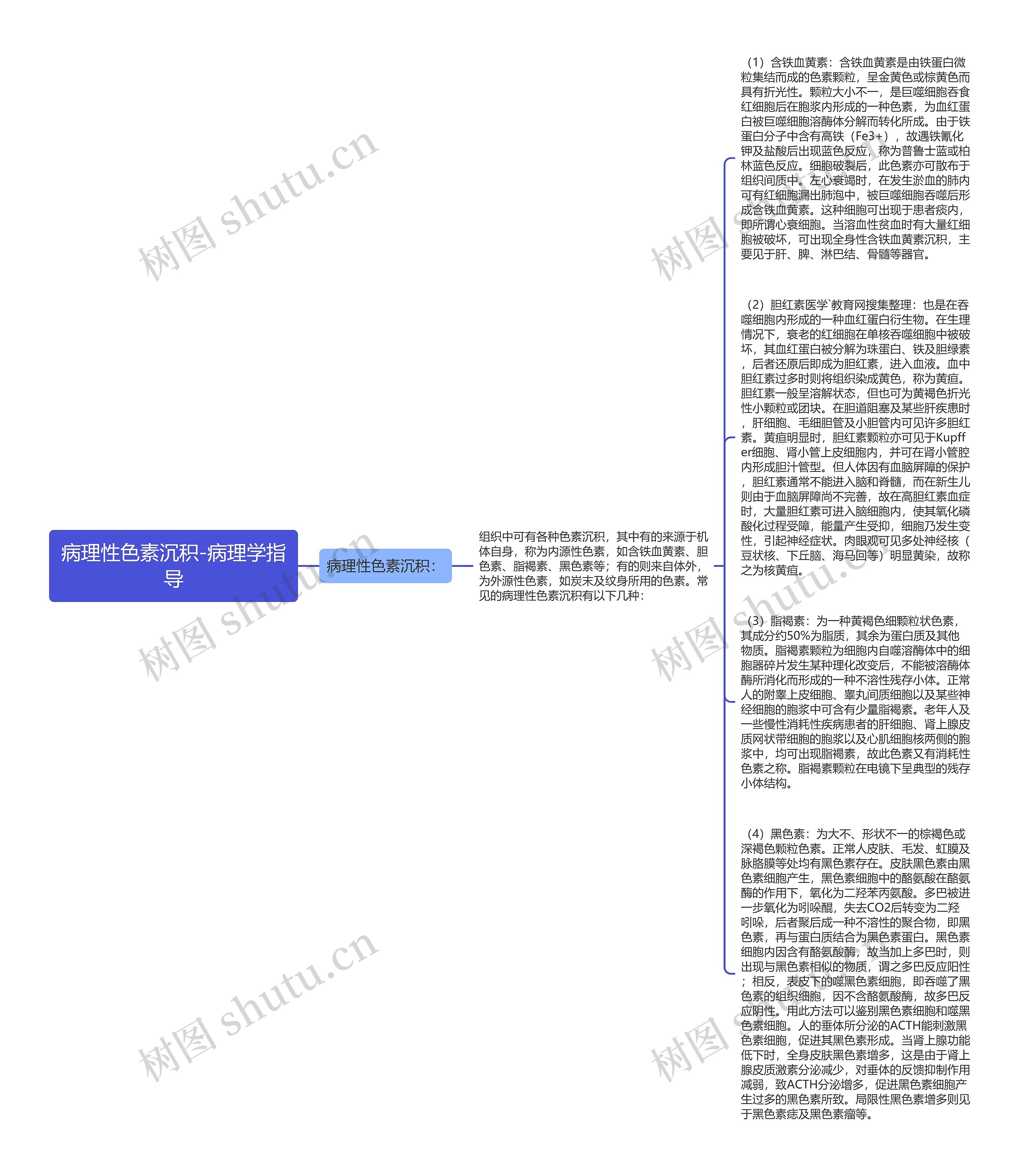 病理性色素沉积-病理学指导思维导图