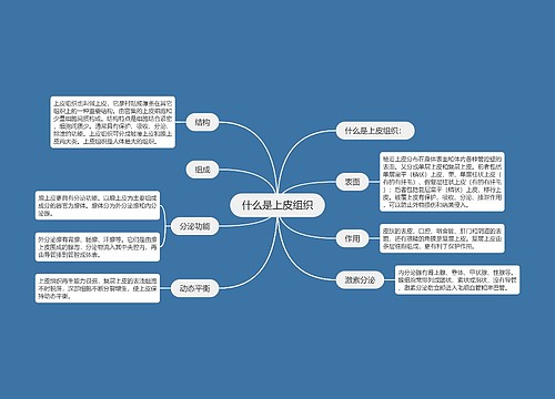 什么是上皮组织