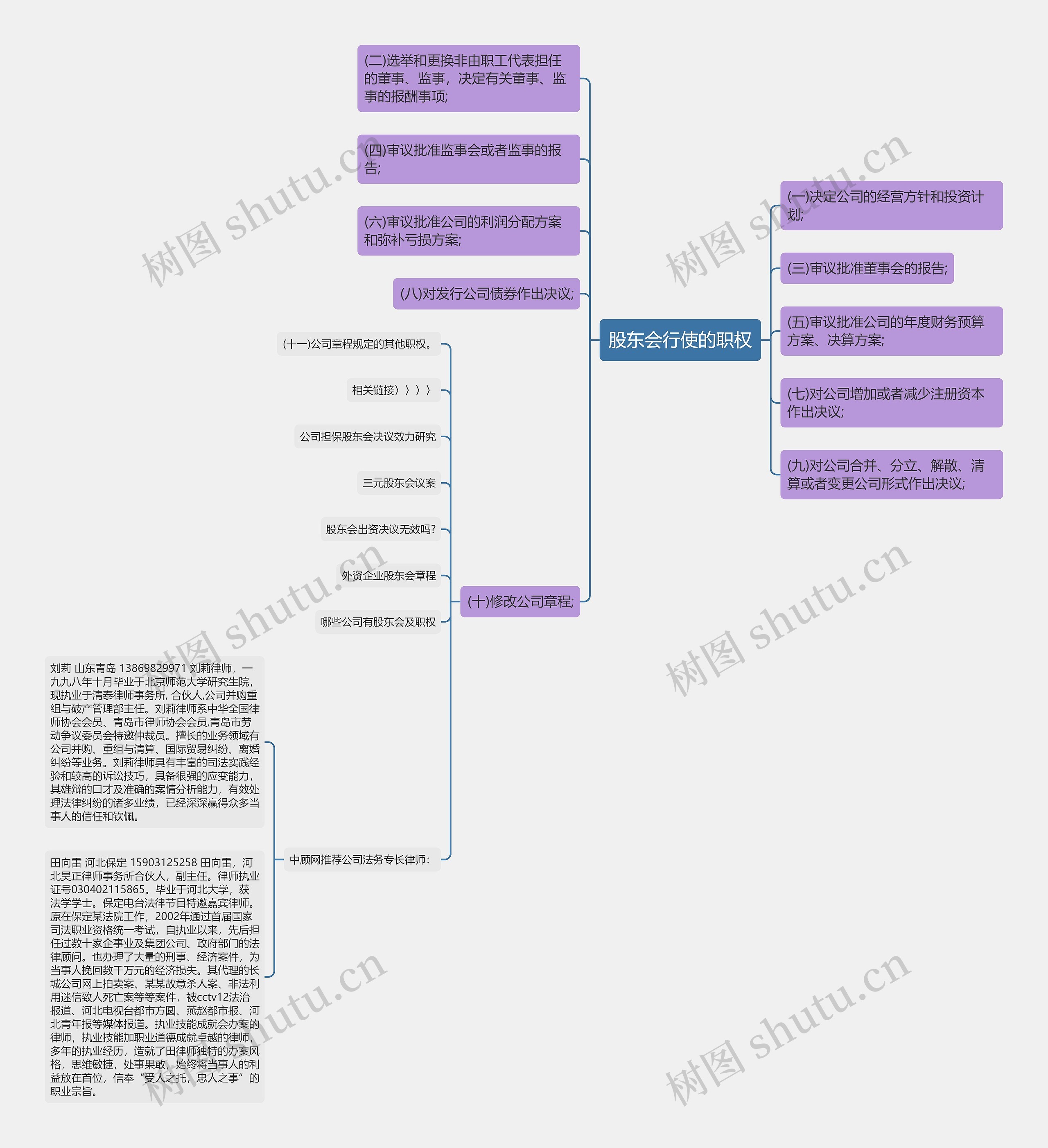 股东会行使的职权思维导图