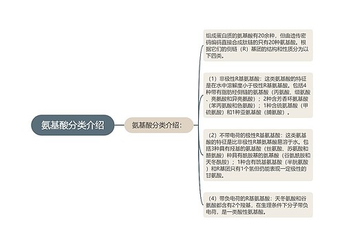 氨基酸分类介绍