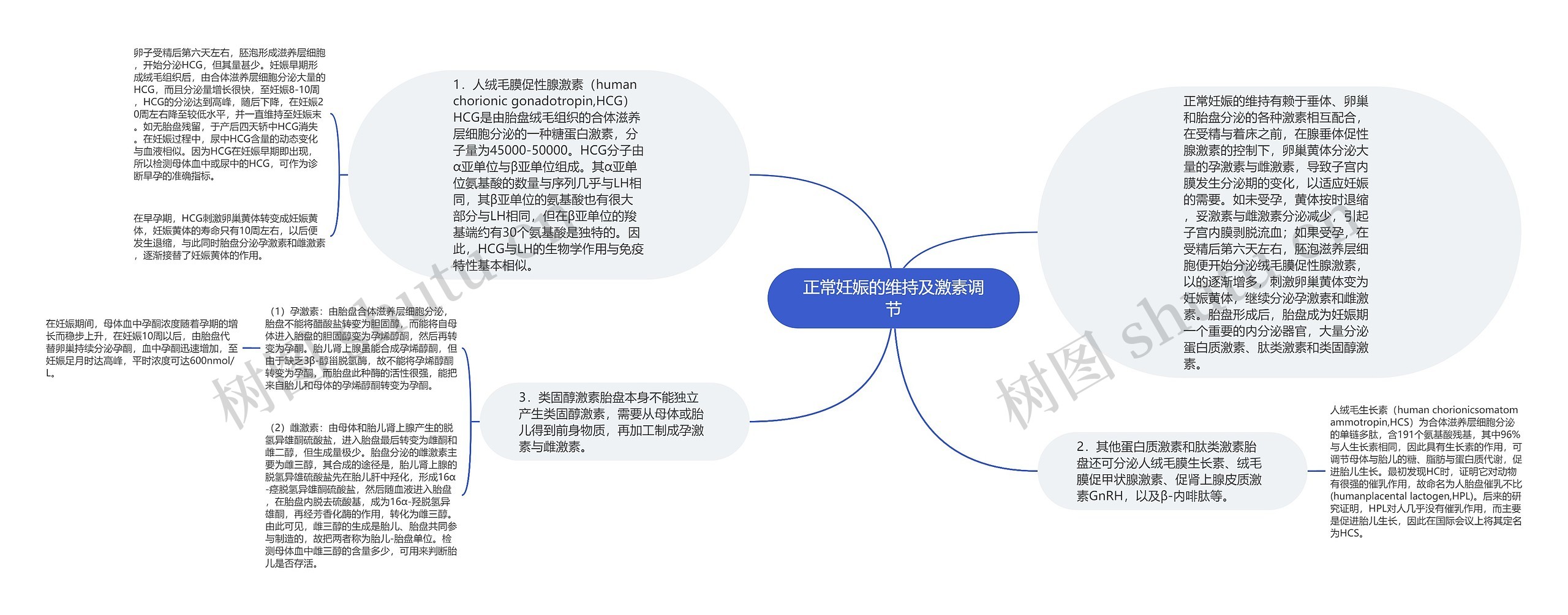 正常妊娠的维持及激素调节