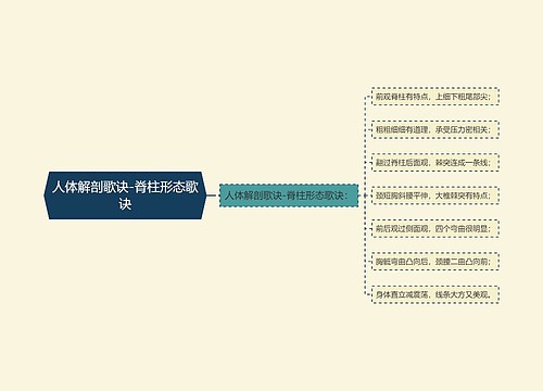 人体解剖歌诀-脊柱形态歌诀