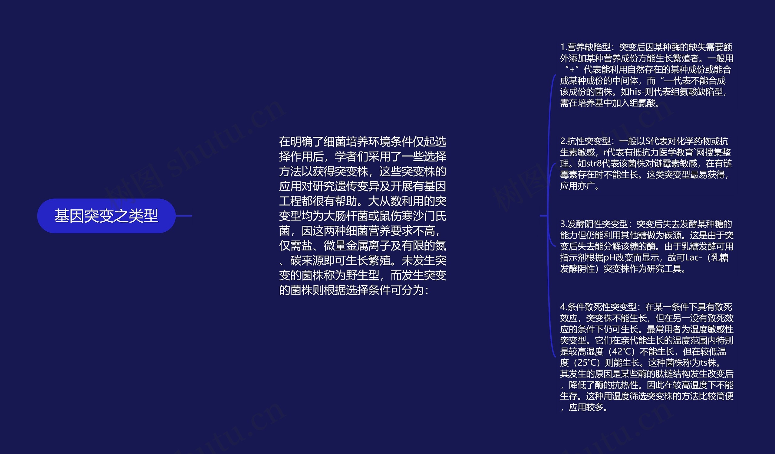 基因突变之类型思维导图