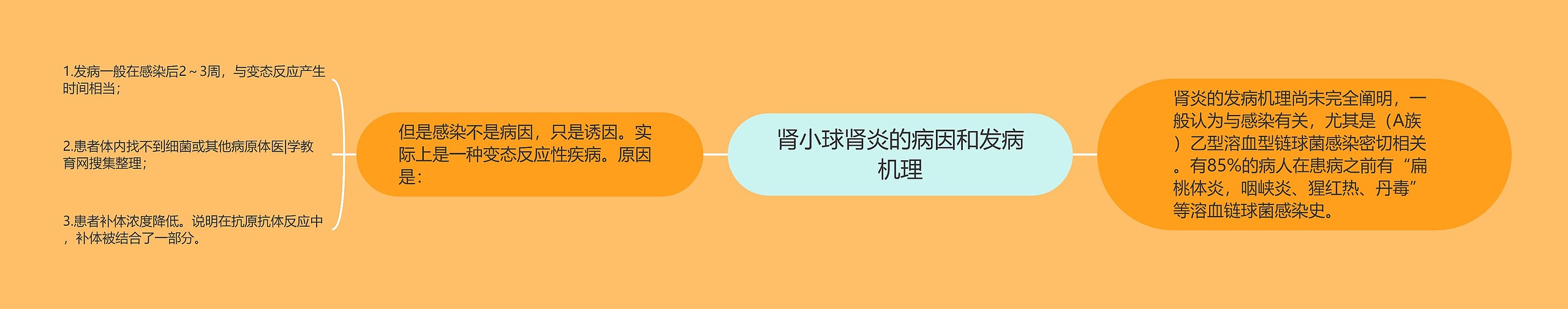 肾小球肾炎的病因和发病机理思维导图