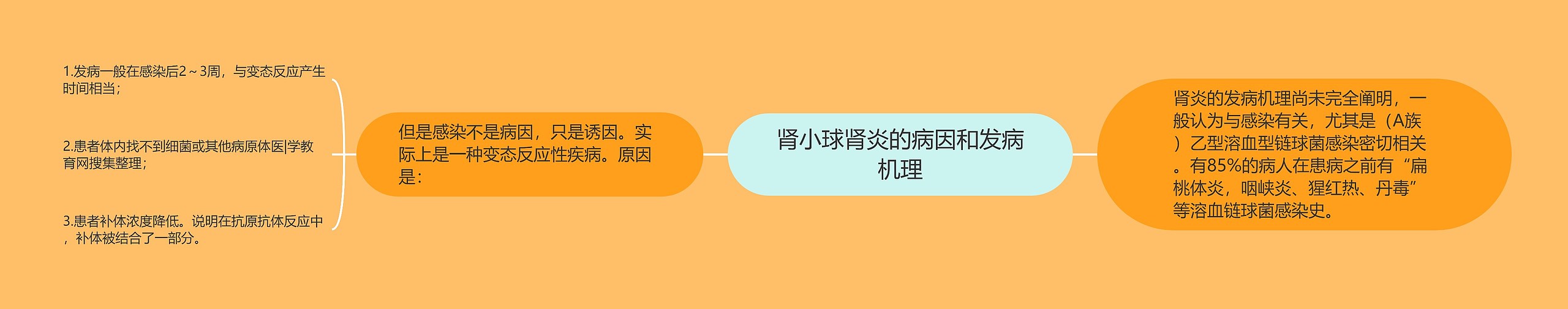 肾小球肾炎的病因和发病机理 肾小球肾炎的病因和发病机理