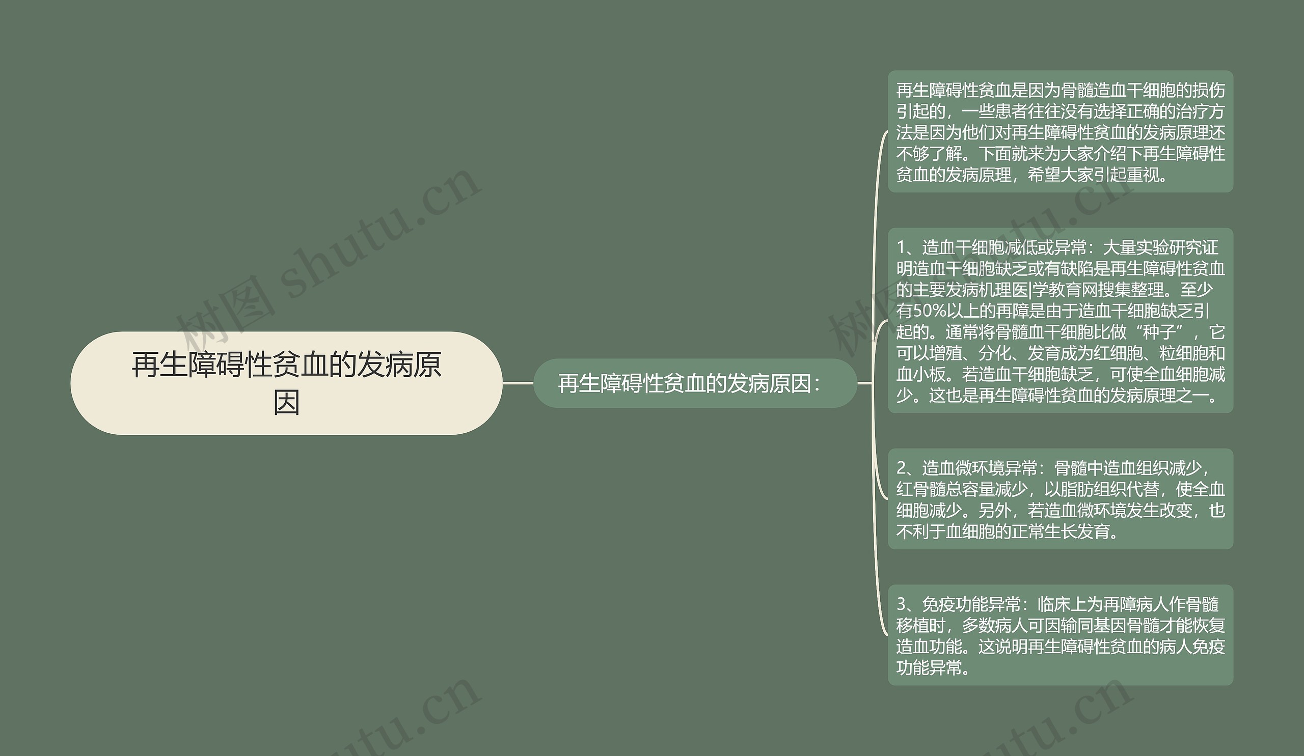 再生障碍性贫血的发病原因思维导图