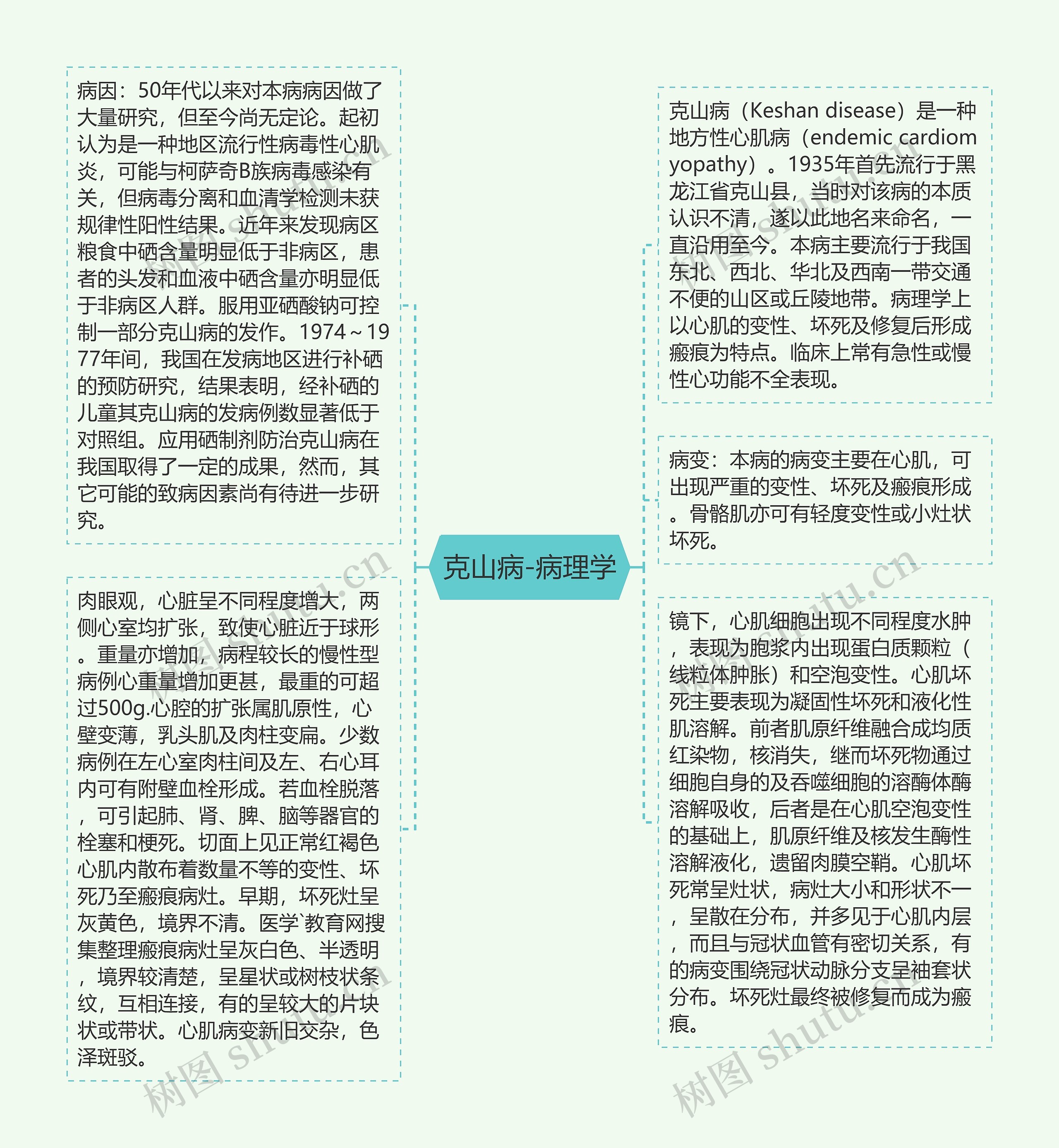 克山病-病理学