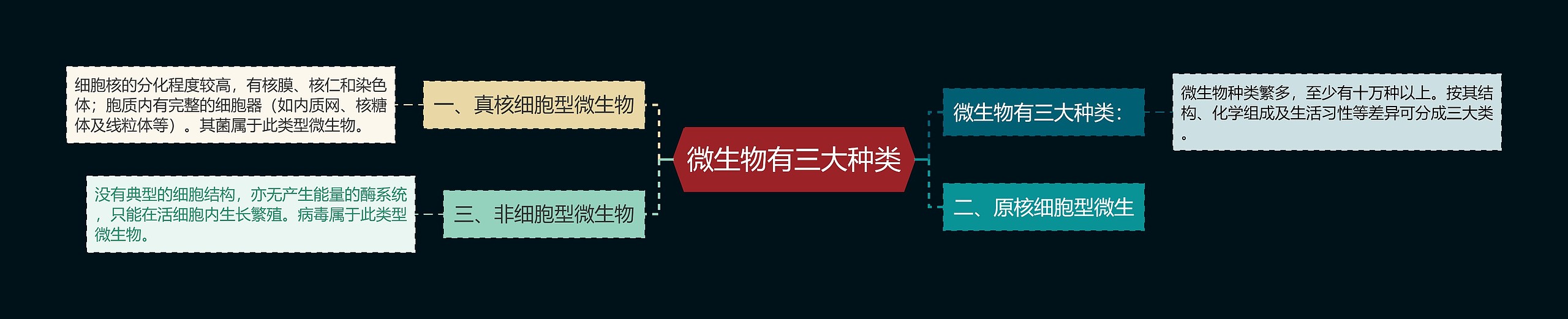 微生物有三大种类思维导图