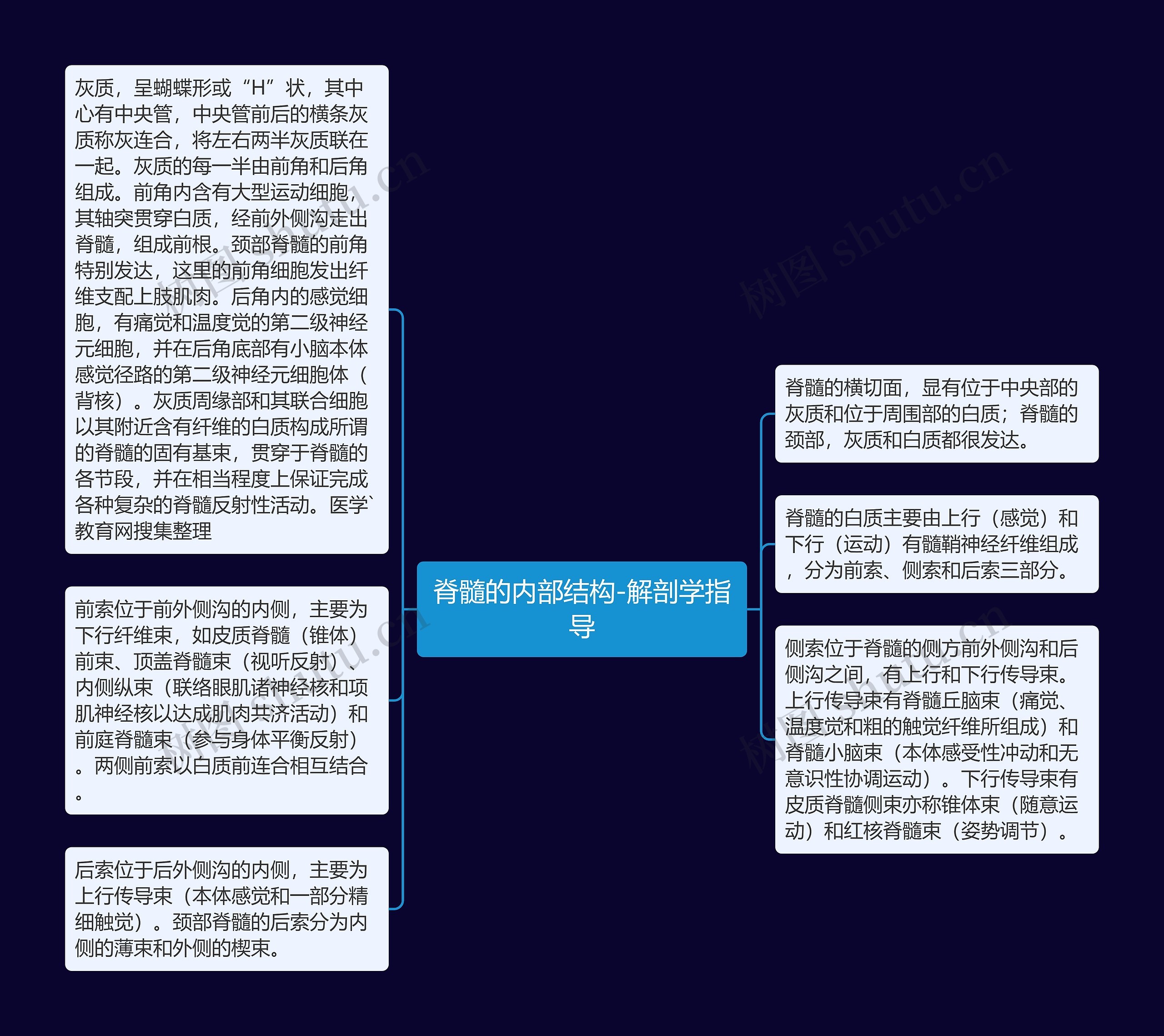 脊髓的内部结构-解剖学指导思维导图