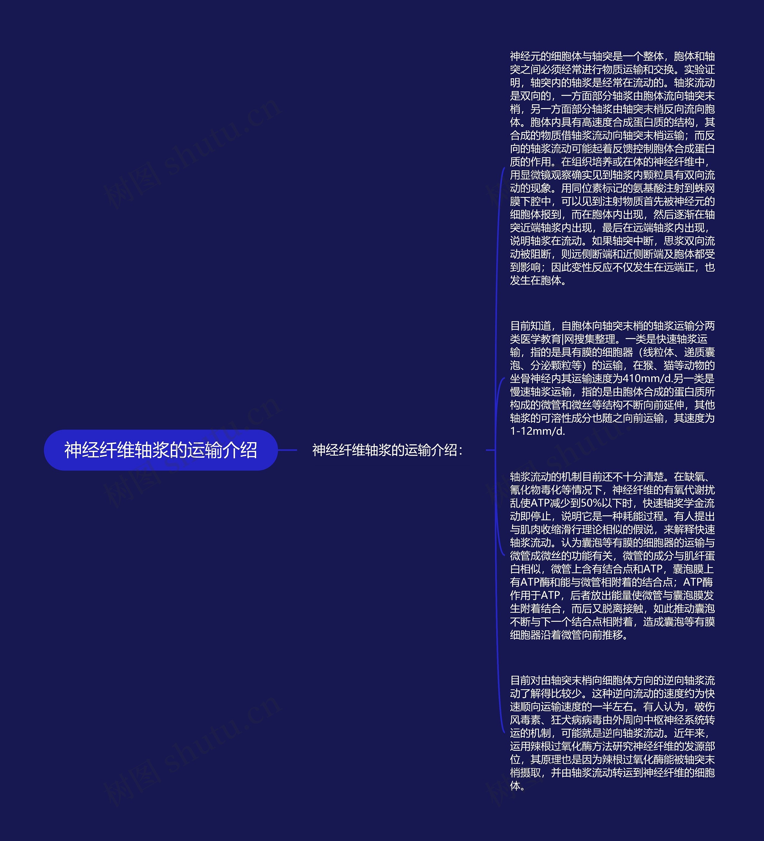 神经纤维轴浆的运输介绍
