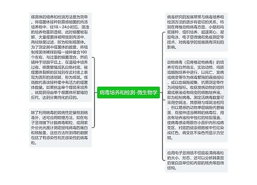 病毒培养和检测-微生物学