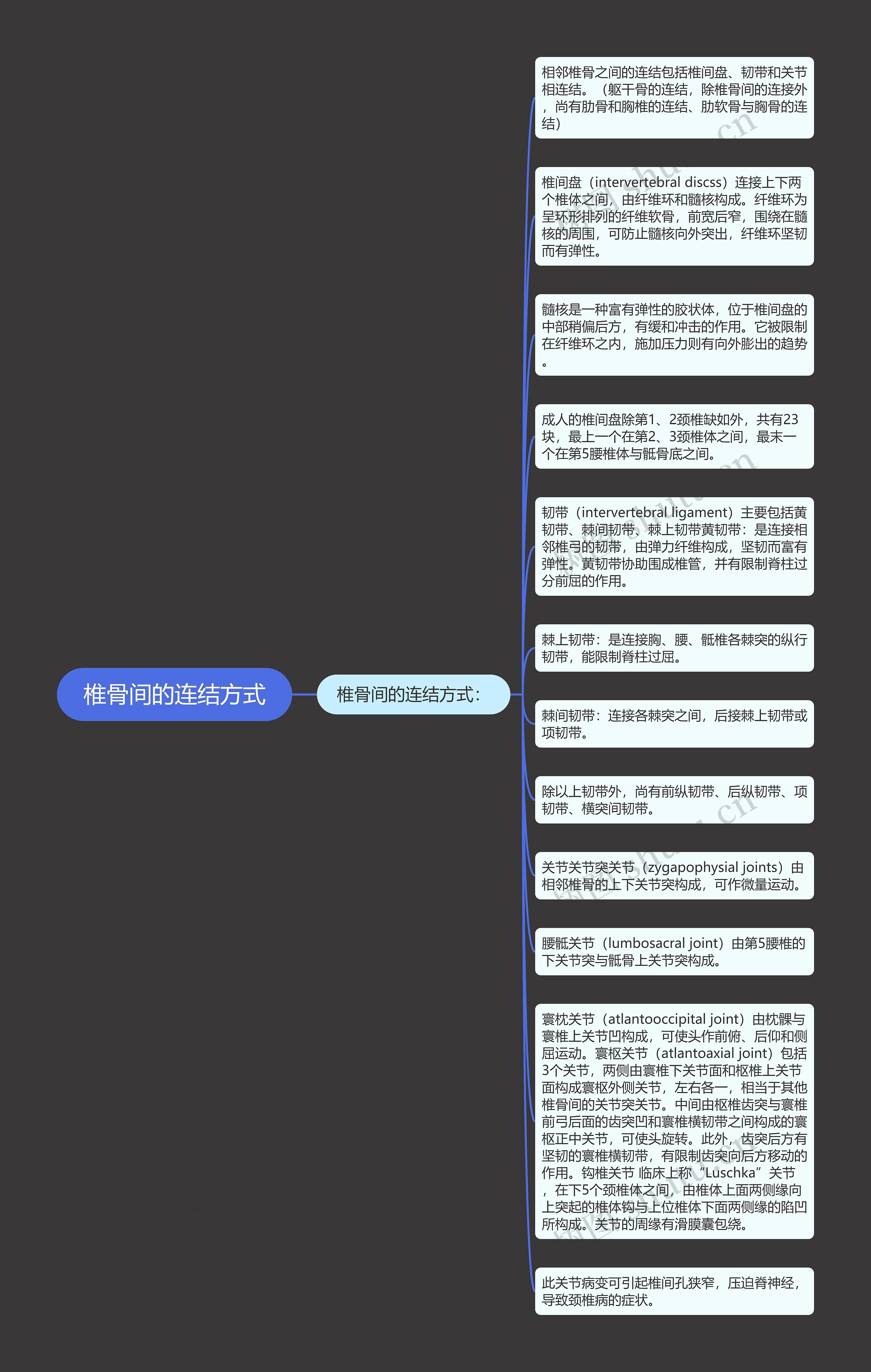 椎骨间的连结方式思维导图