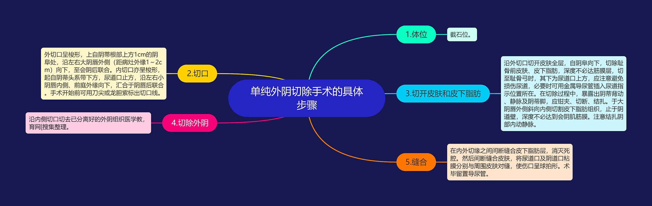 单纯外阴切除手术的具体步骤思维导图