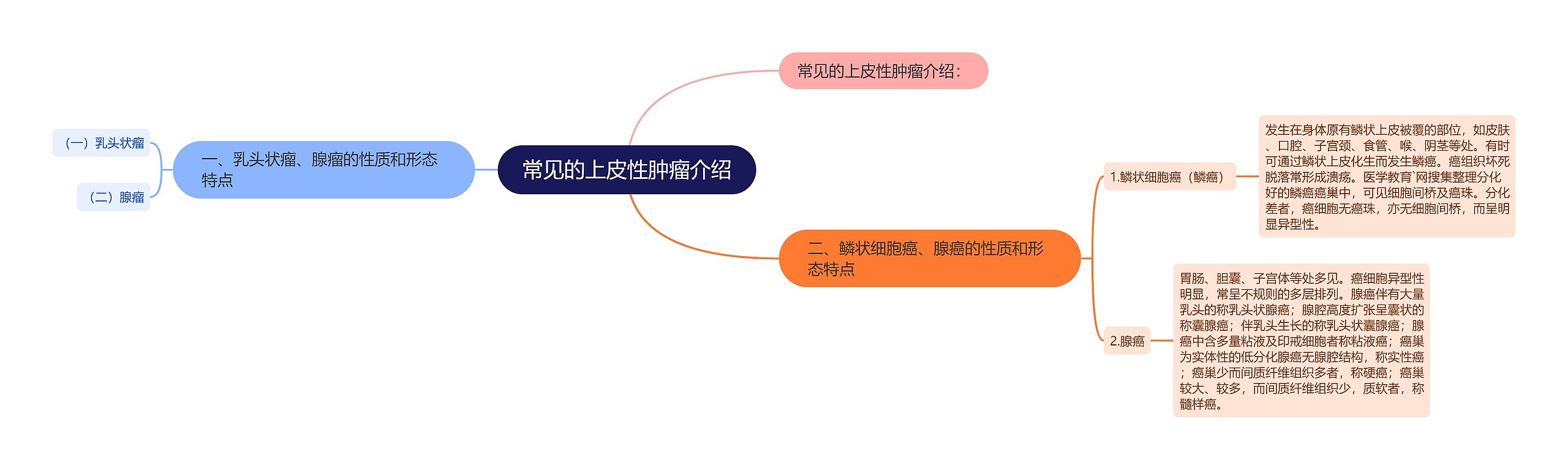 常见的上皮性肿瘤介绍思维导图