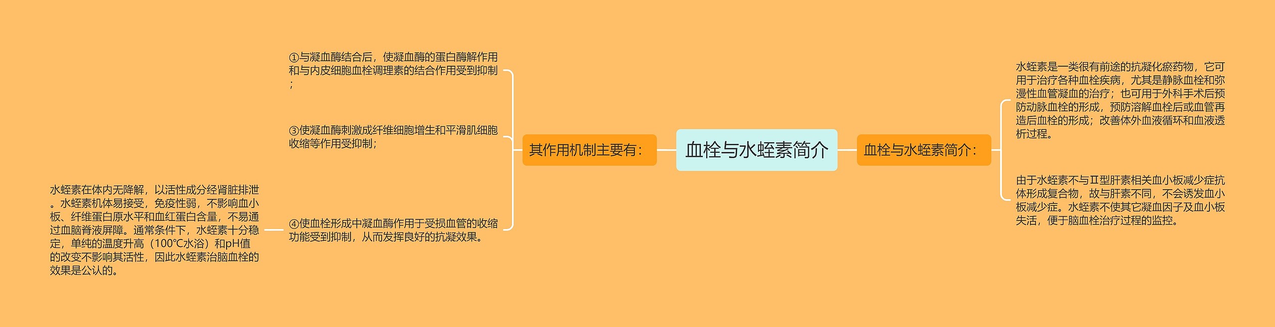 血栓与水蛭素简介 血栓与水蛭素简介