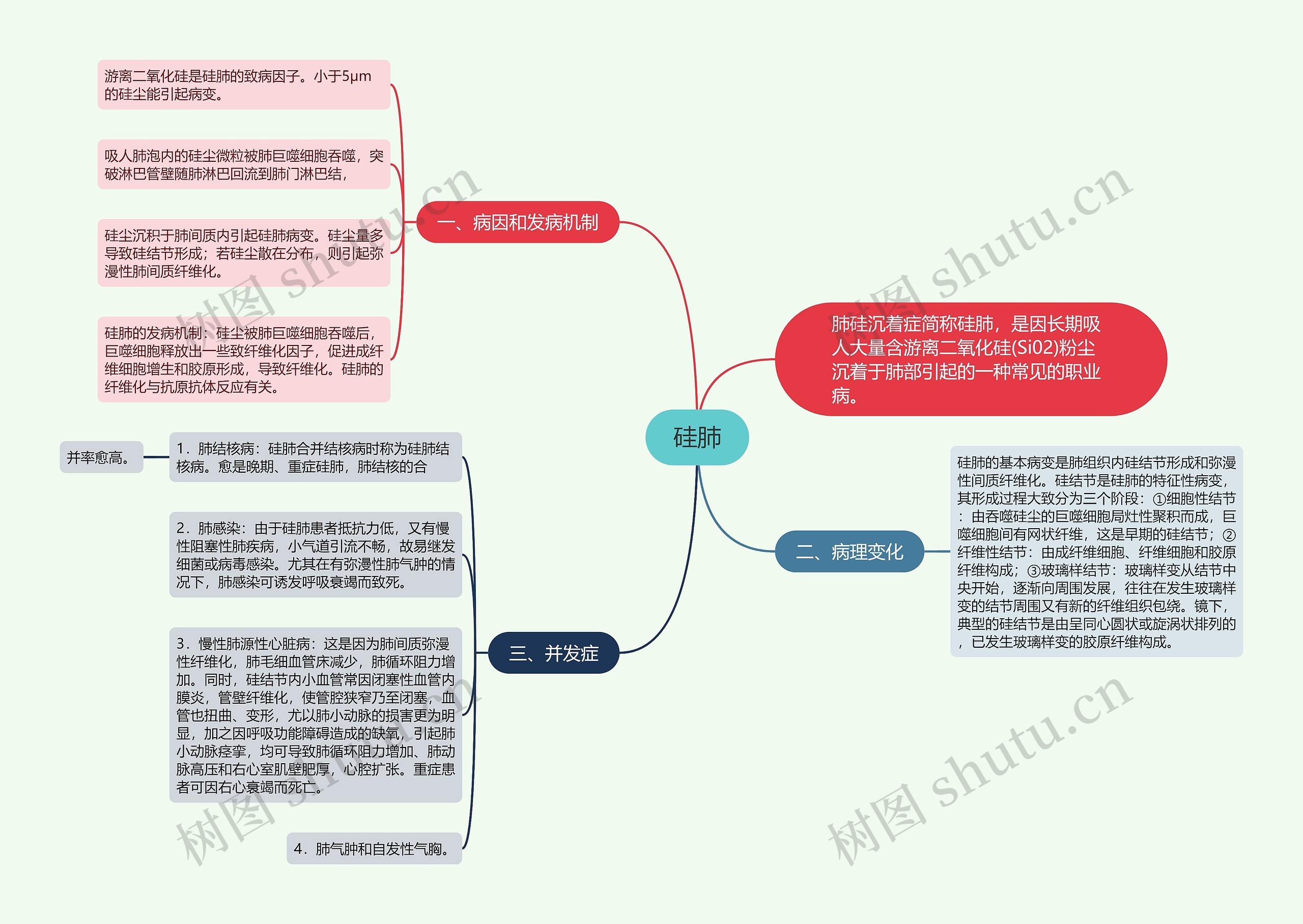 硅肺思维导图