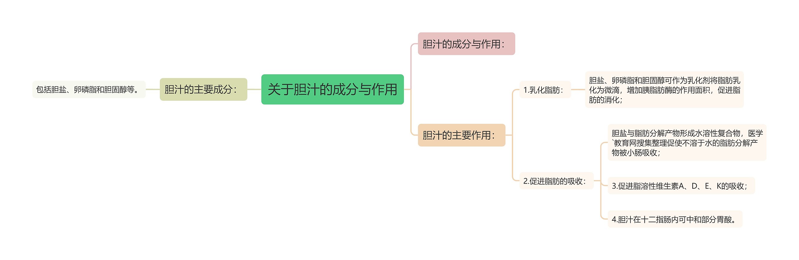 关于胆汁的成分与作用