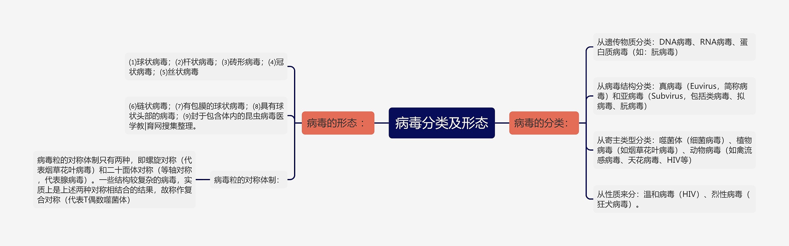 病毒分类及形态思维导图