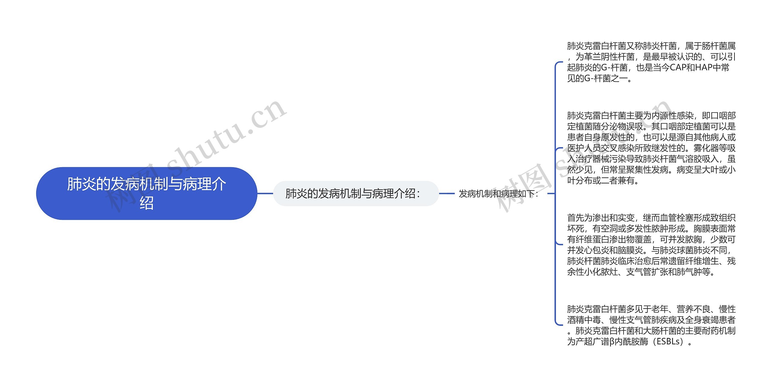 肺炎的发病机制与病理介绍