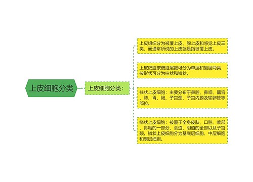 上皮细胞分类