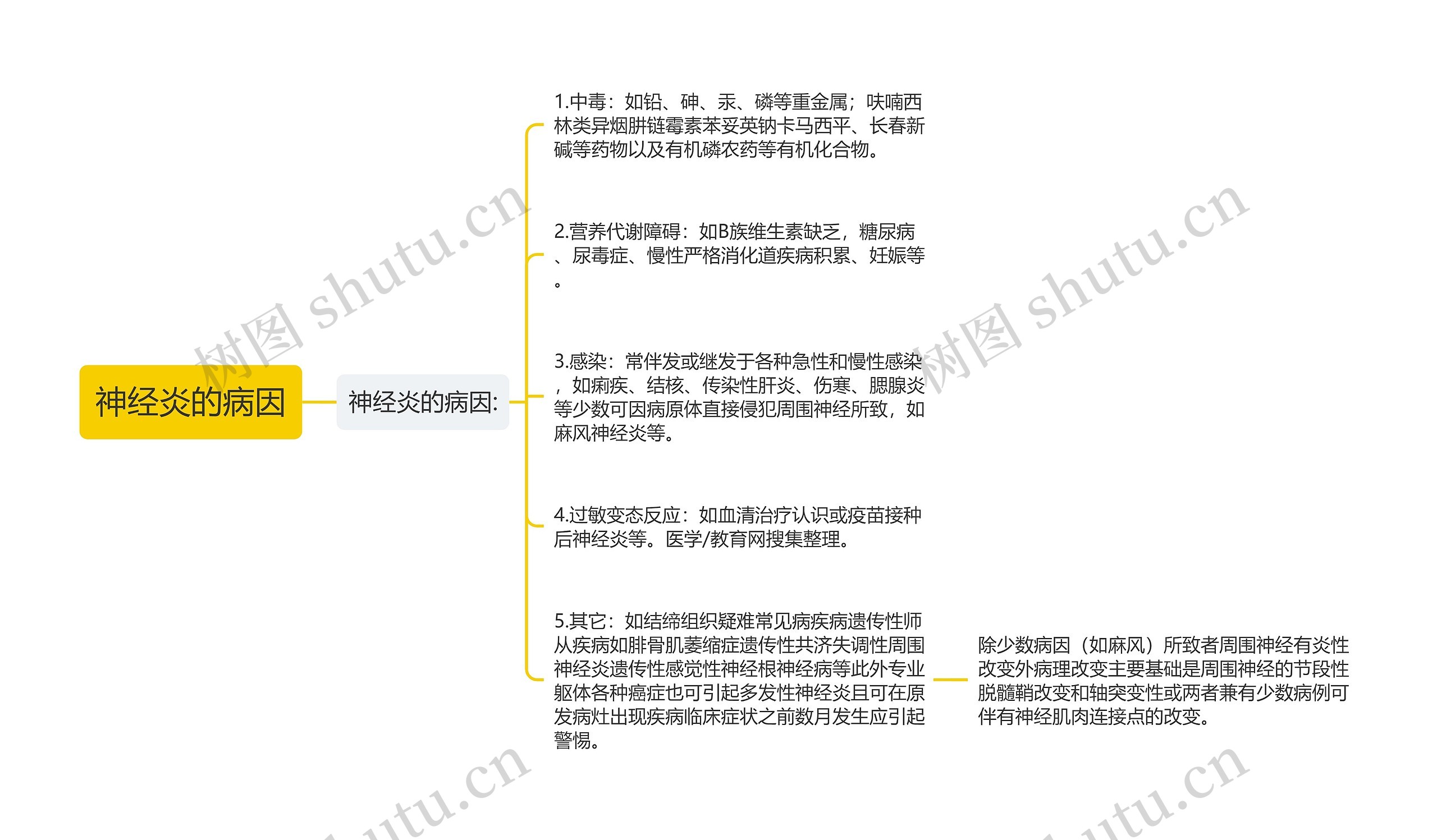 神经炎的病因思维导图