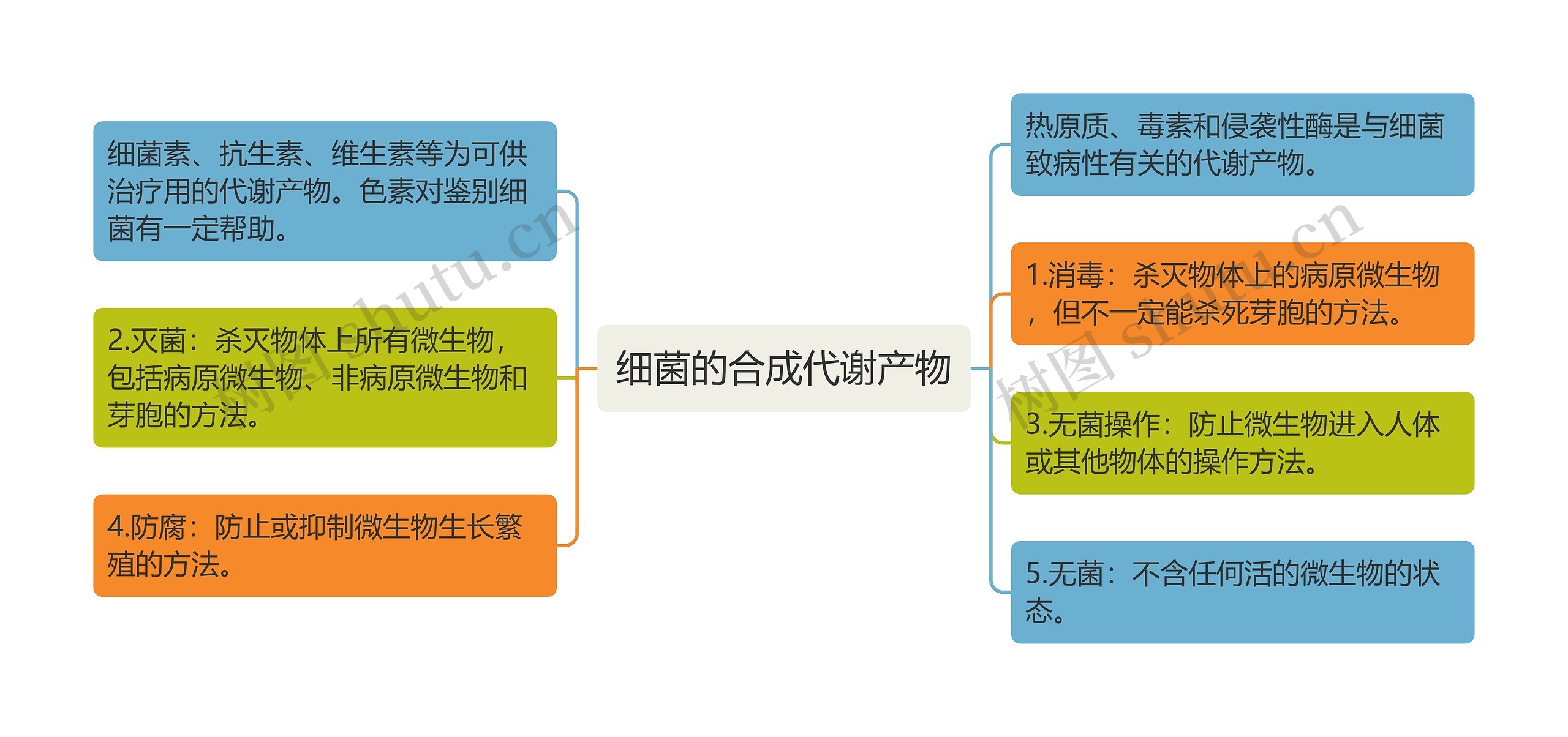 细菌的合成代谢产物