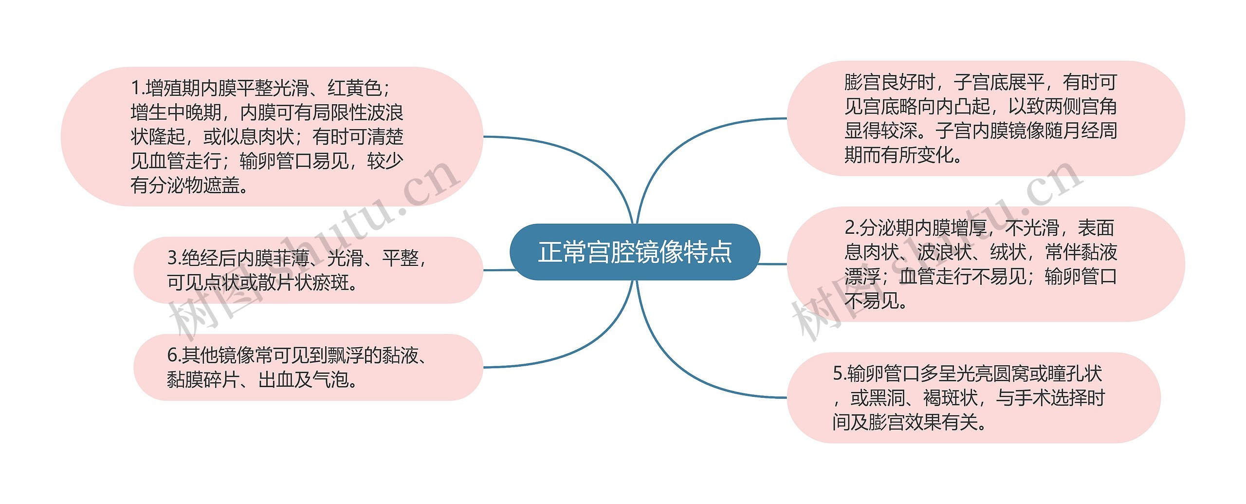 正常宫腔镜像特点思维导图