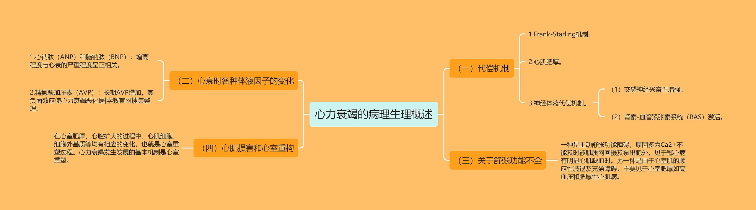 心力衰竭的病理生理概述思维导图