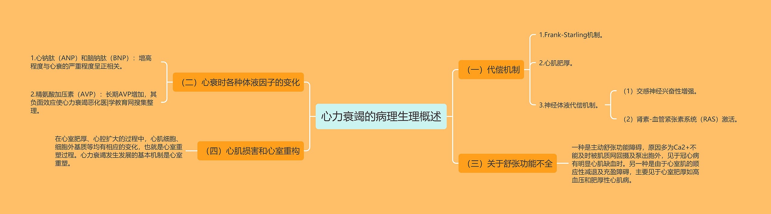 心力衰竭的病理生理概述 心力衰竭的病理生理概述