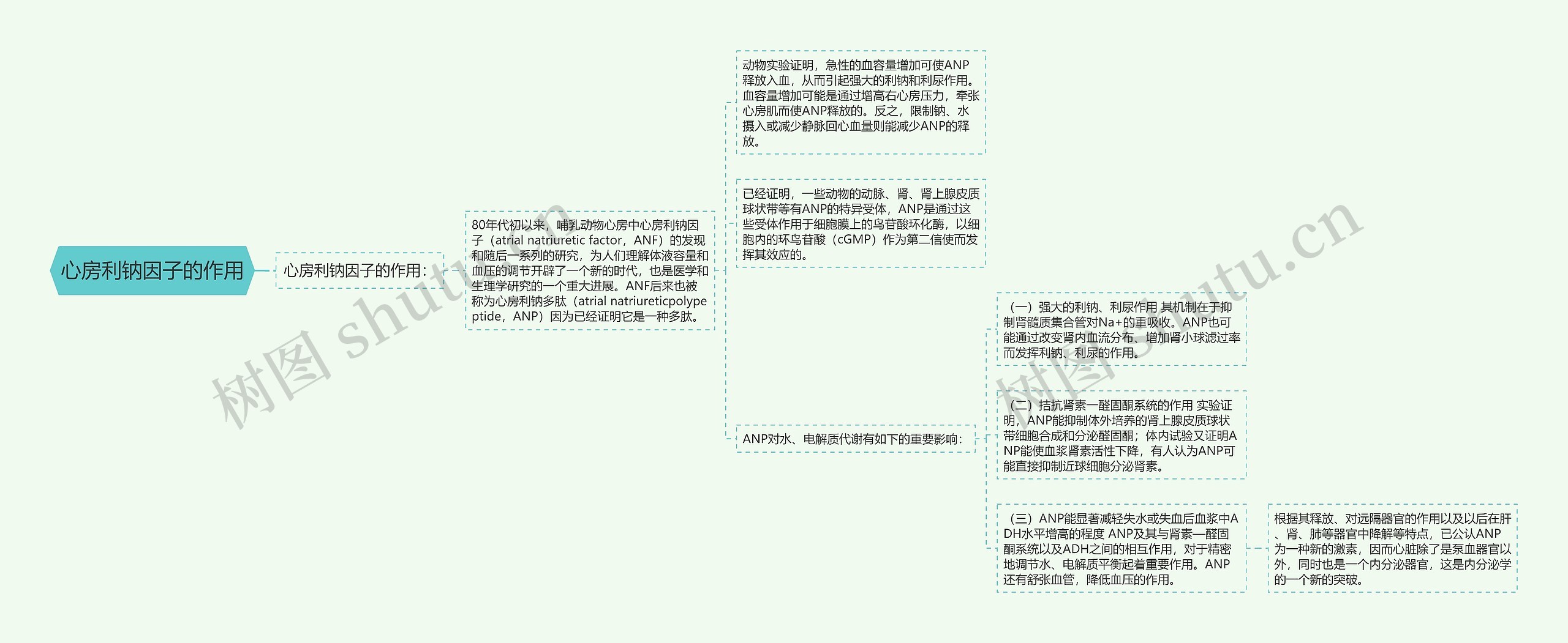 心房利钠因子的作用