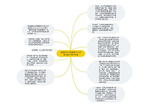 美国柯达及其美国子公司提出破产保护申请