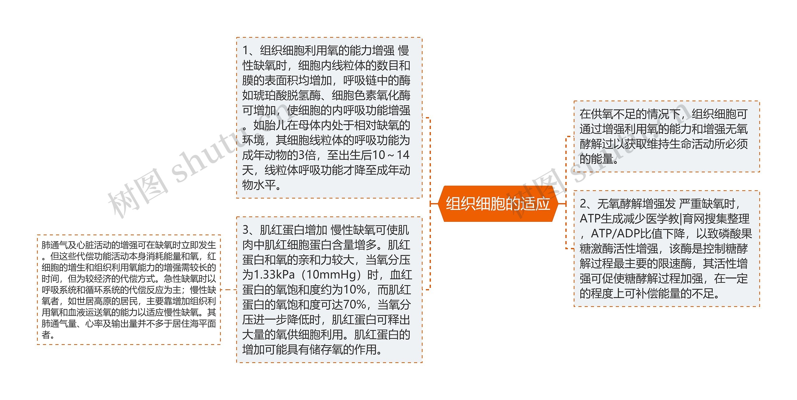 组织细胞的适应思维导图