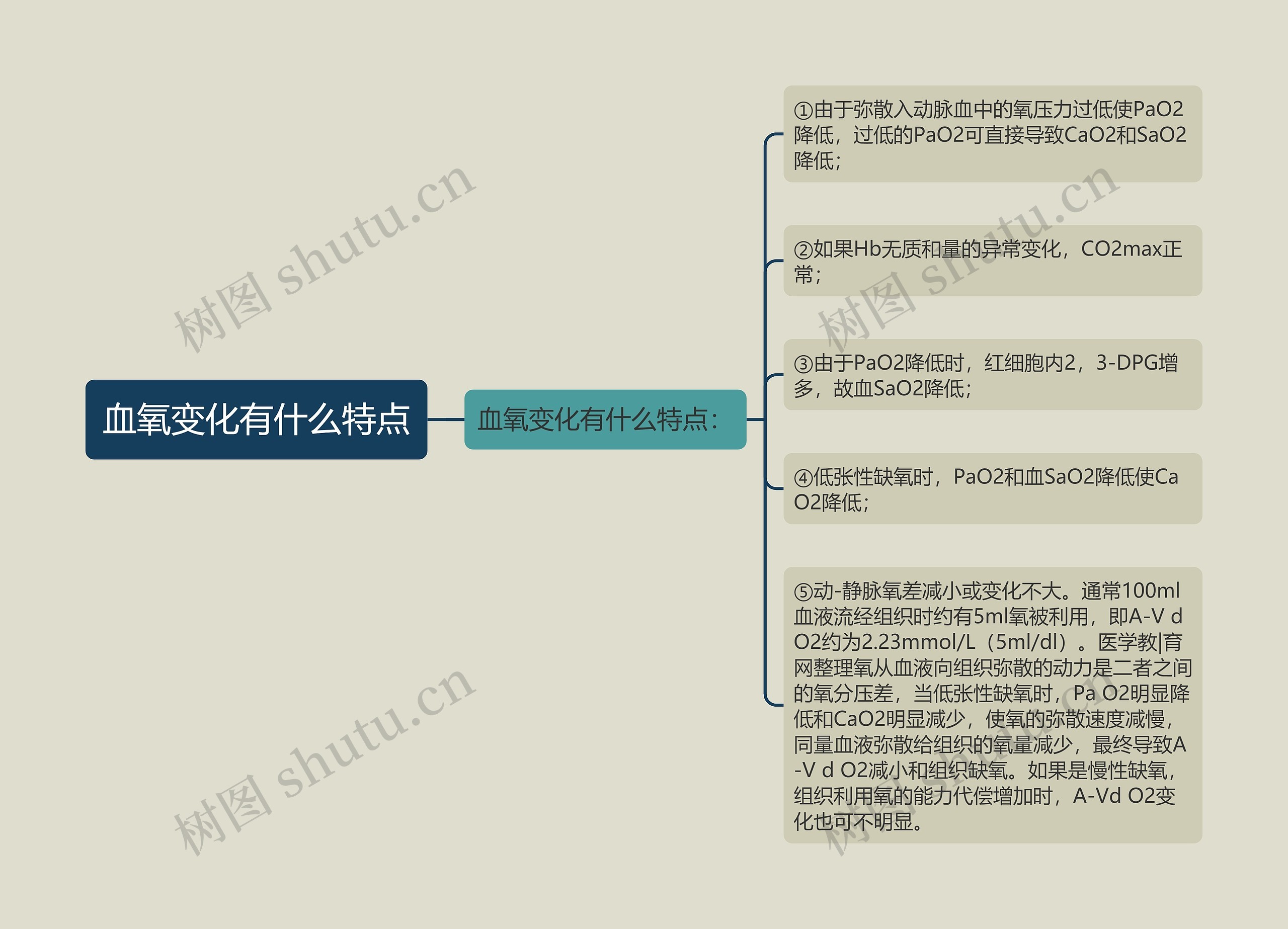 血氧变化有什么特点思维导图