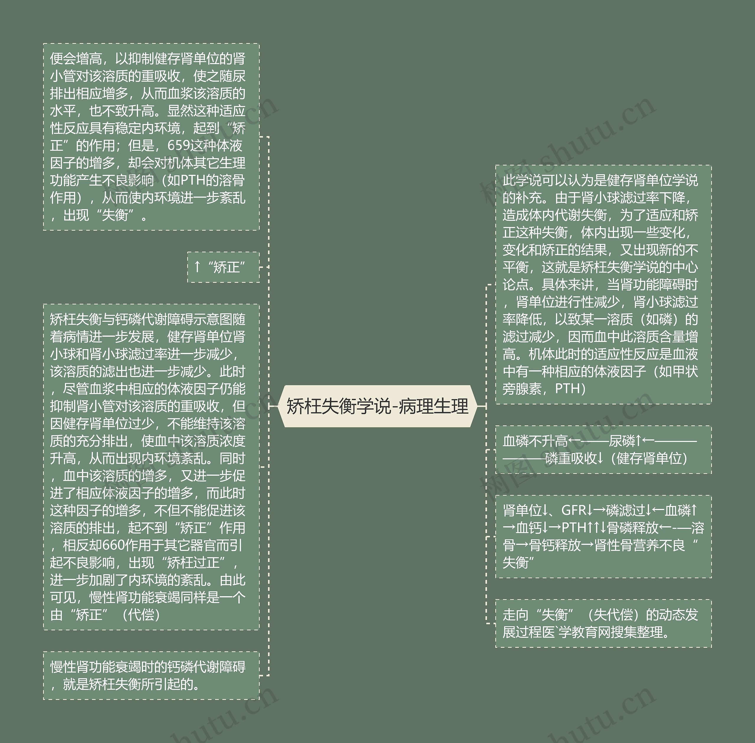 矫枉失衡学说-病理生理思维导图