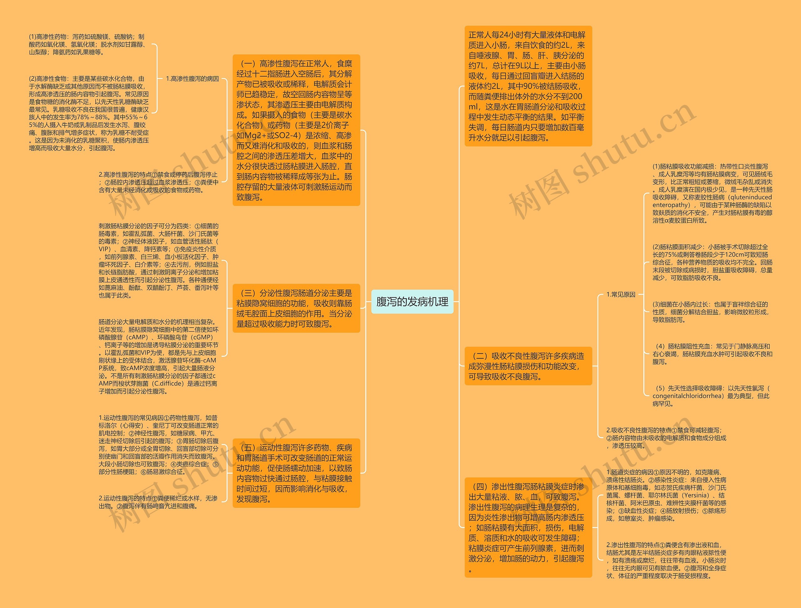 腹泻的发病机理思维导图