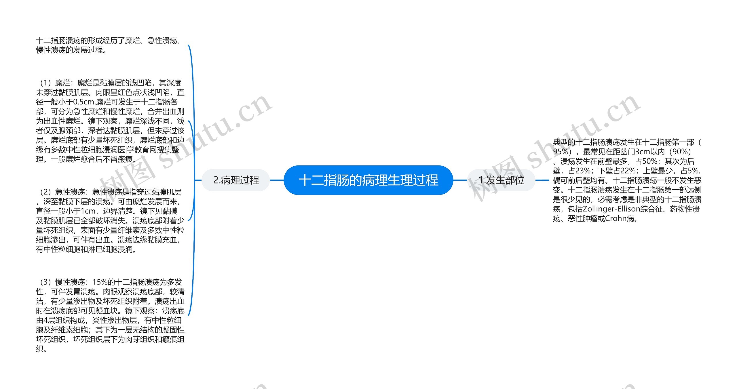 十二指肠的病理生理过程思维导图