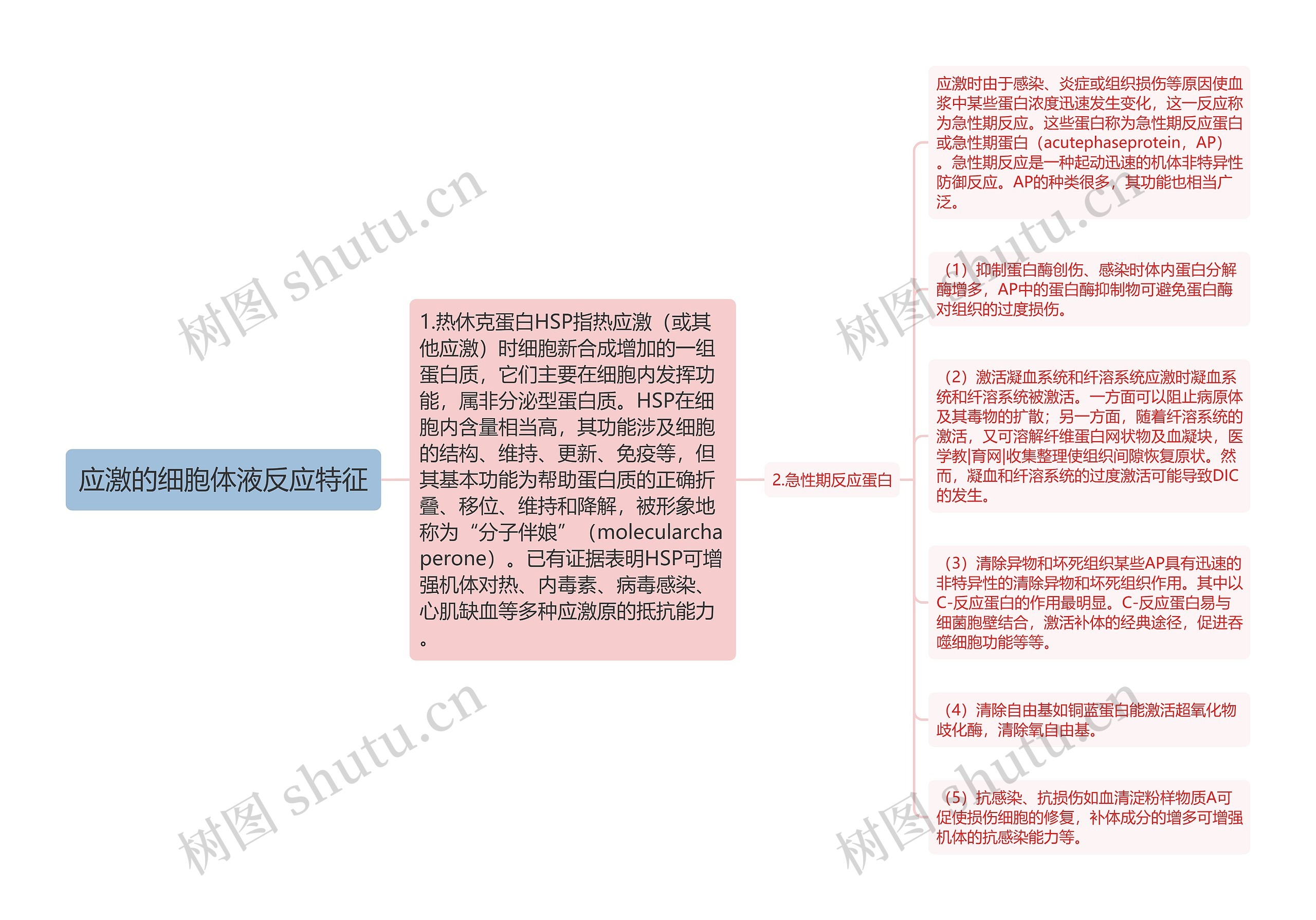 应激的细胞体液反应特征