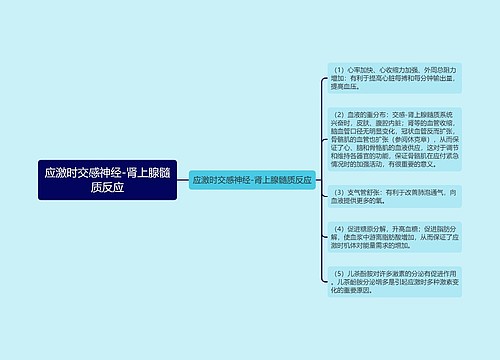 应激时交感神经-肾上腺髓质反应