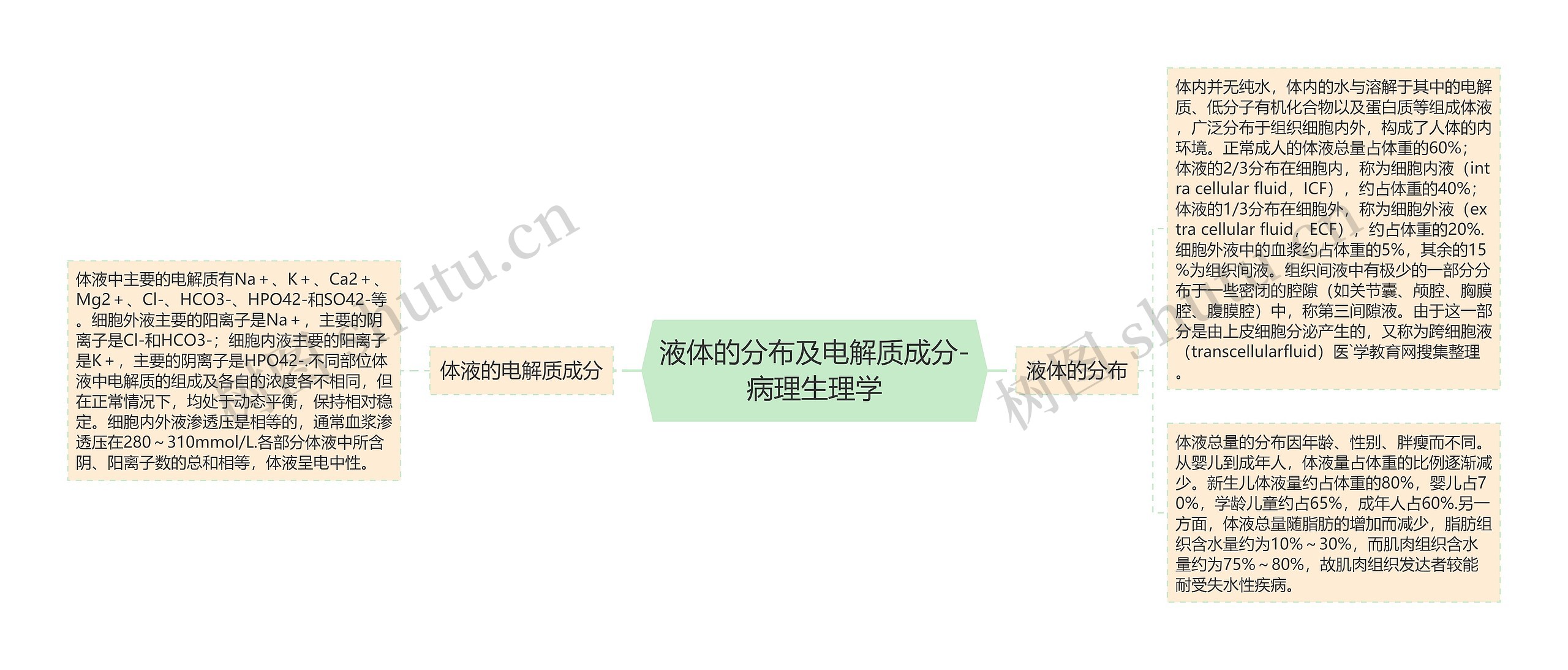 液体的分布及电解质成分-病理生理学思维导图