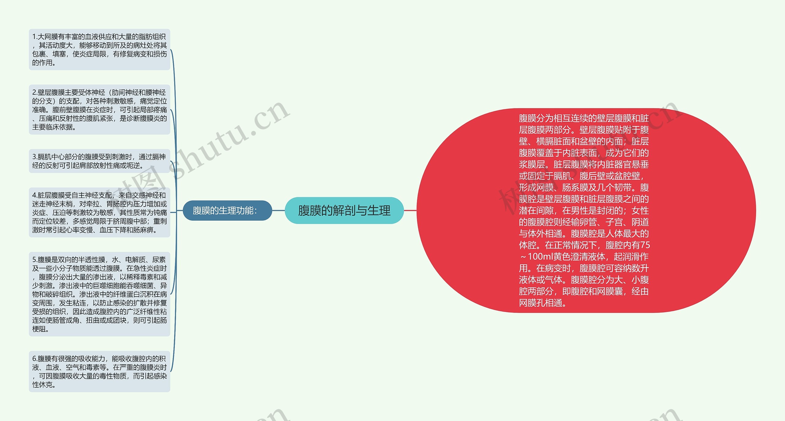 腹膜的解剖与生理思维导图