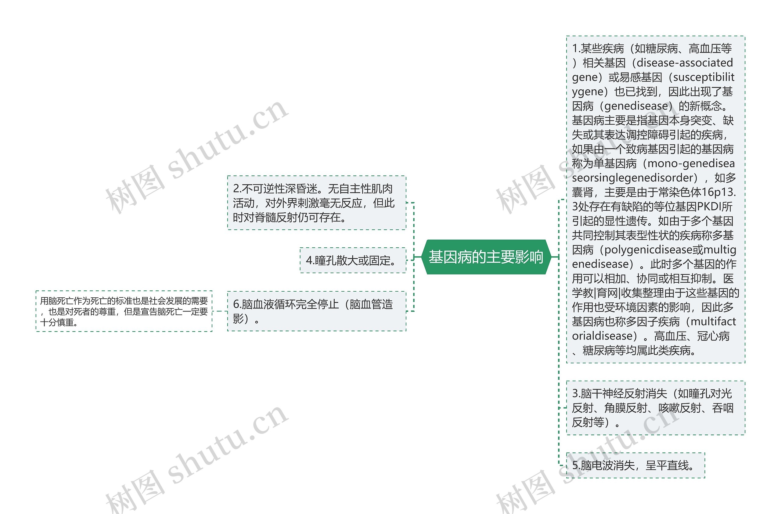 基因病的主要影响思维导图