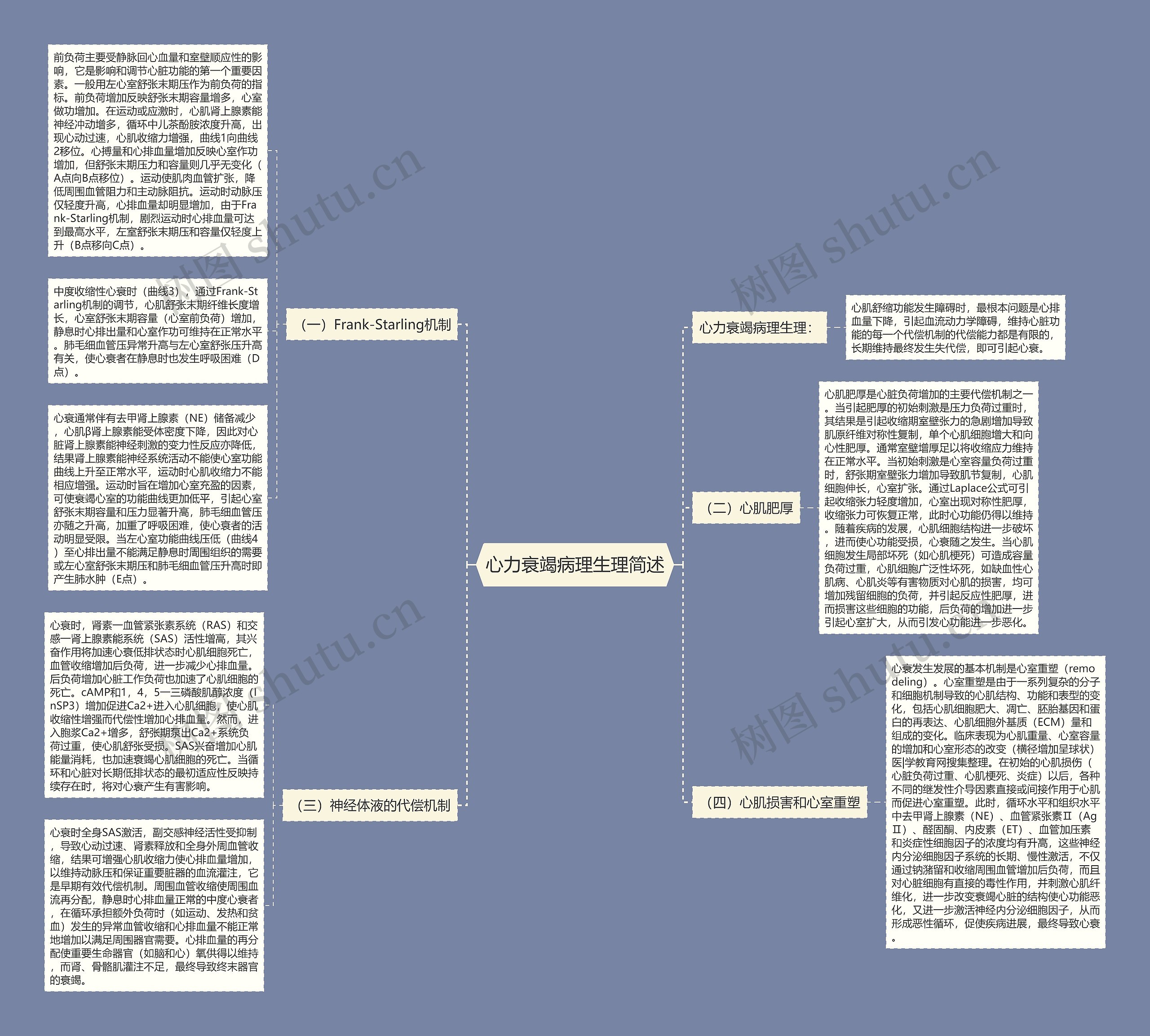 心力衰竭病理生理简述思维导图