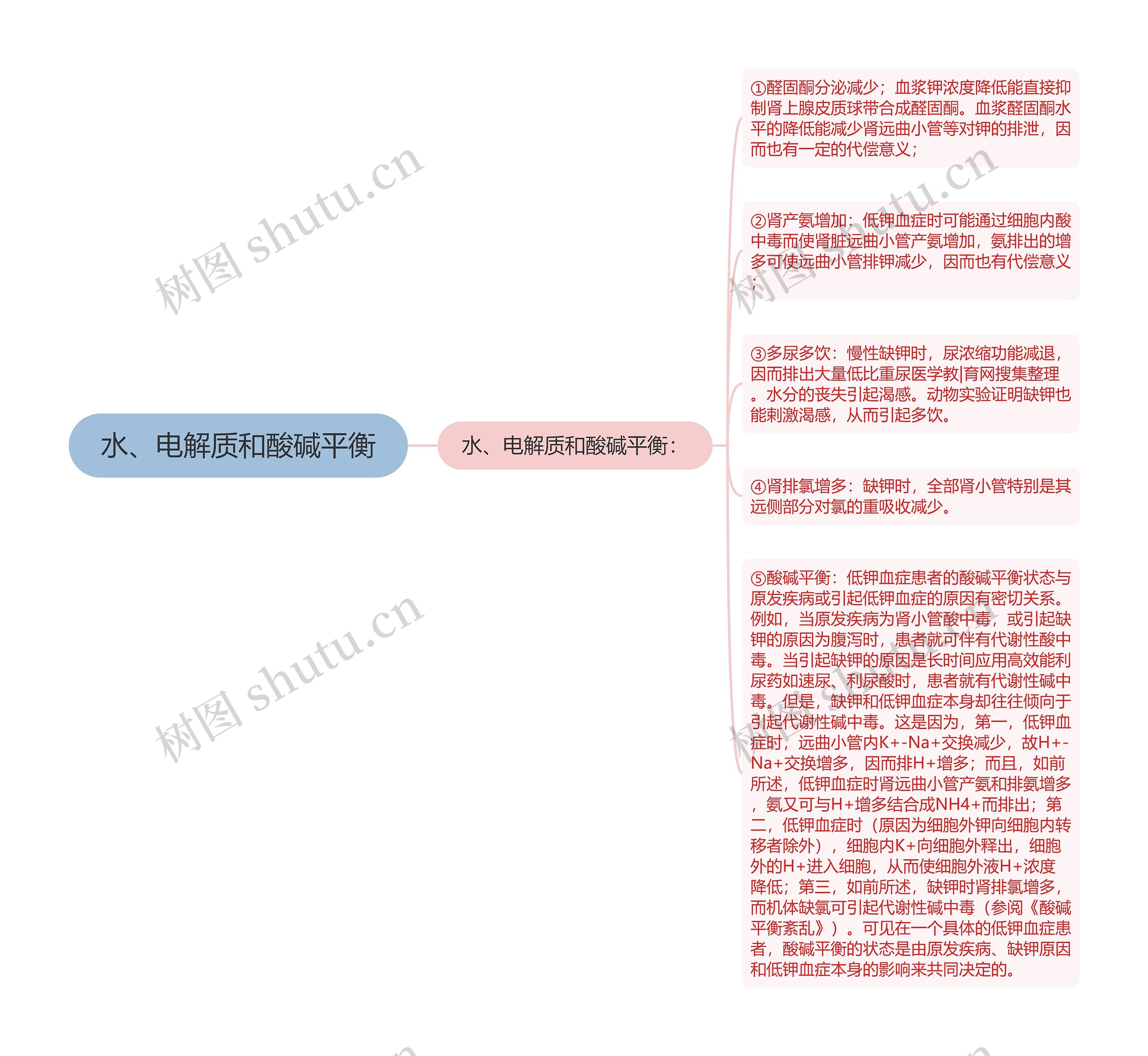 水、电解质和酸碱平衡