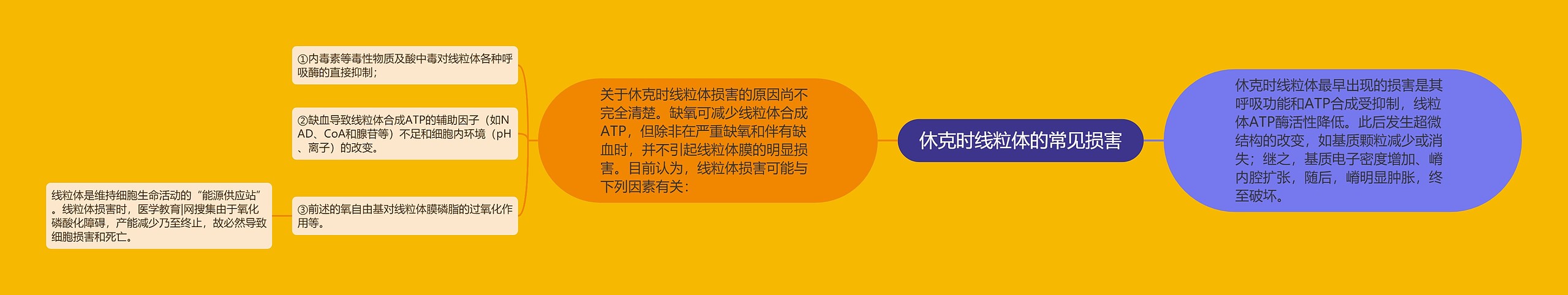 休克时线粒体的常见损害 休克时线粒体的常见损害