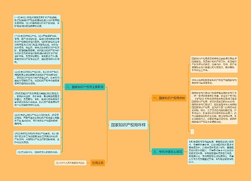 国家知识产权局咋样