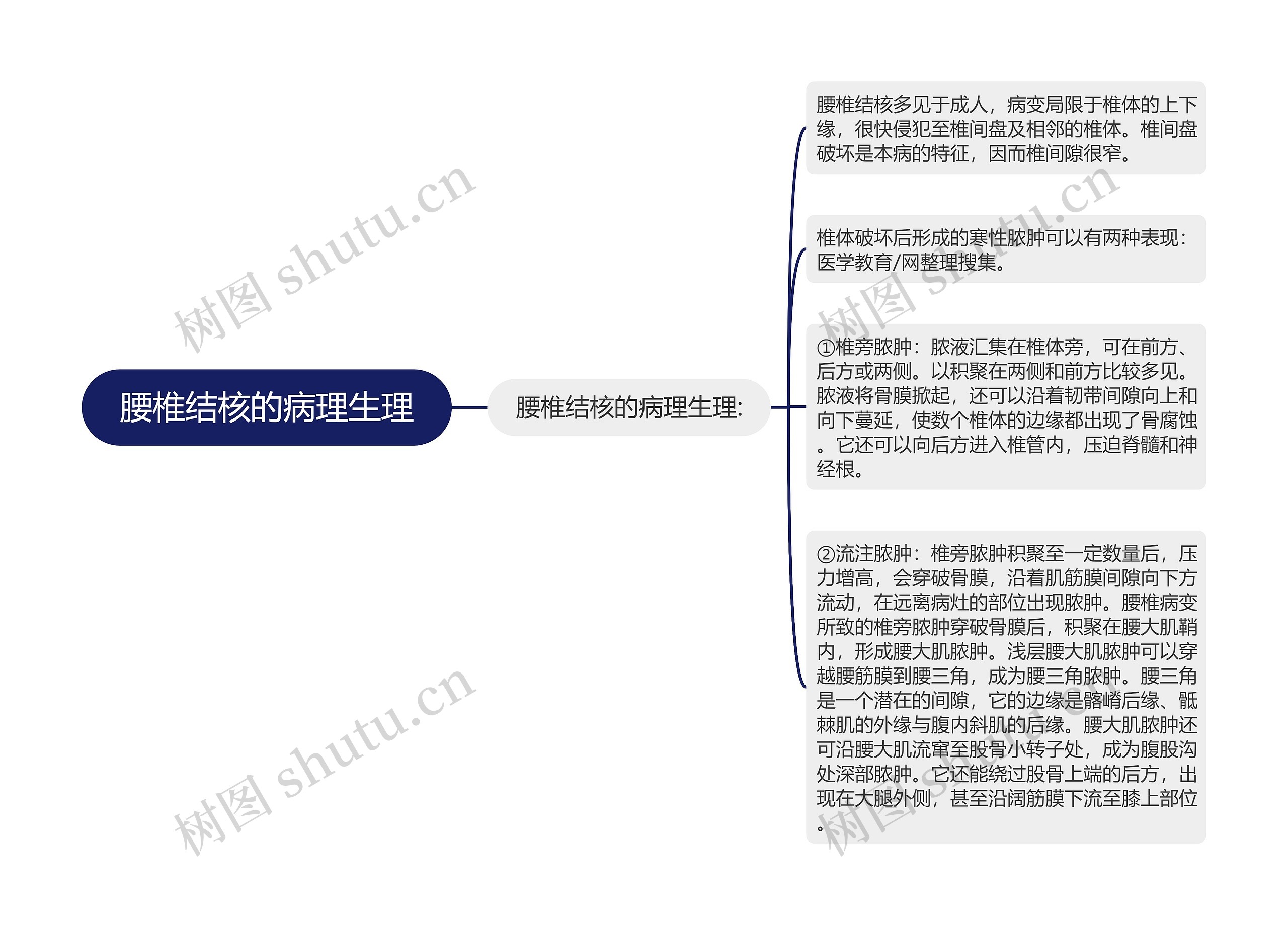 腰椎结核的病理生理思维导图